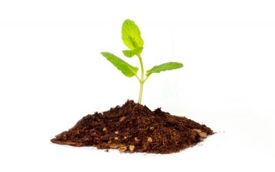 3 Ways to Grow Your Business
